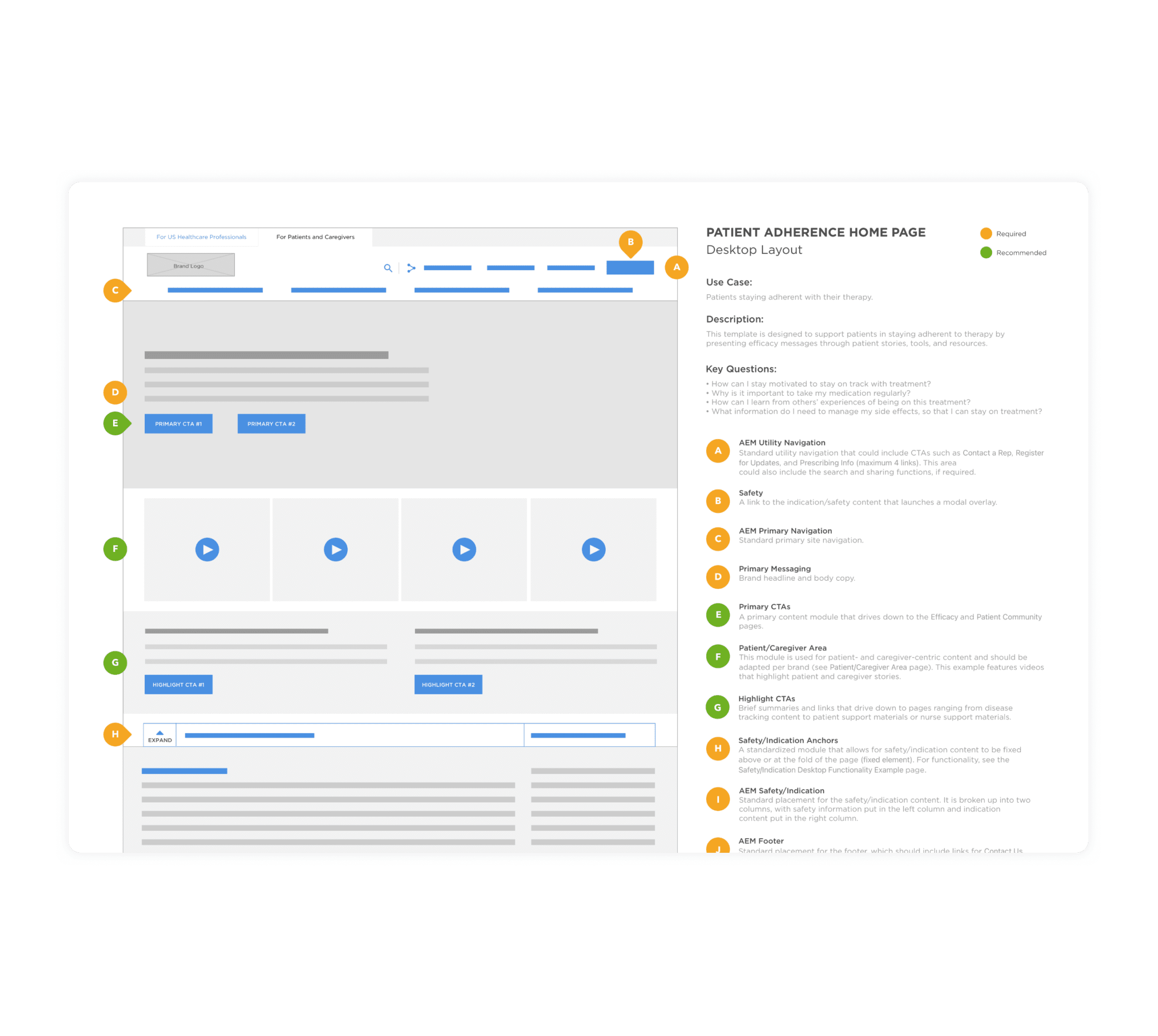 OCREVUS Wireframe
