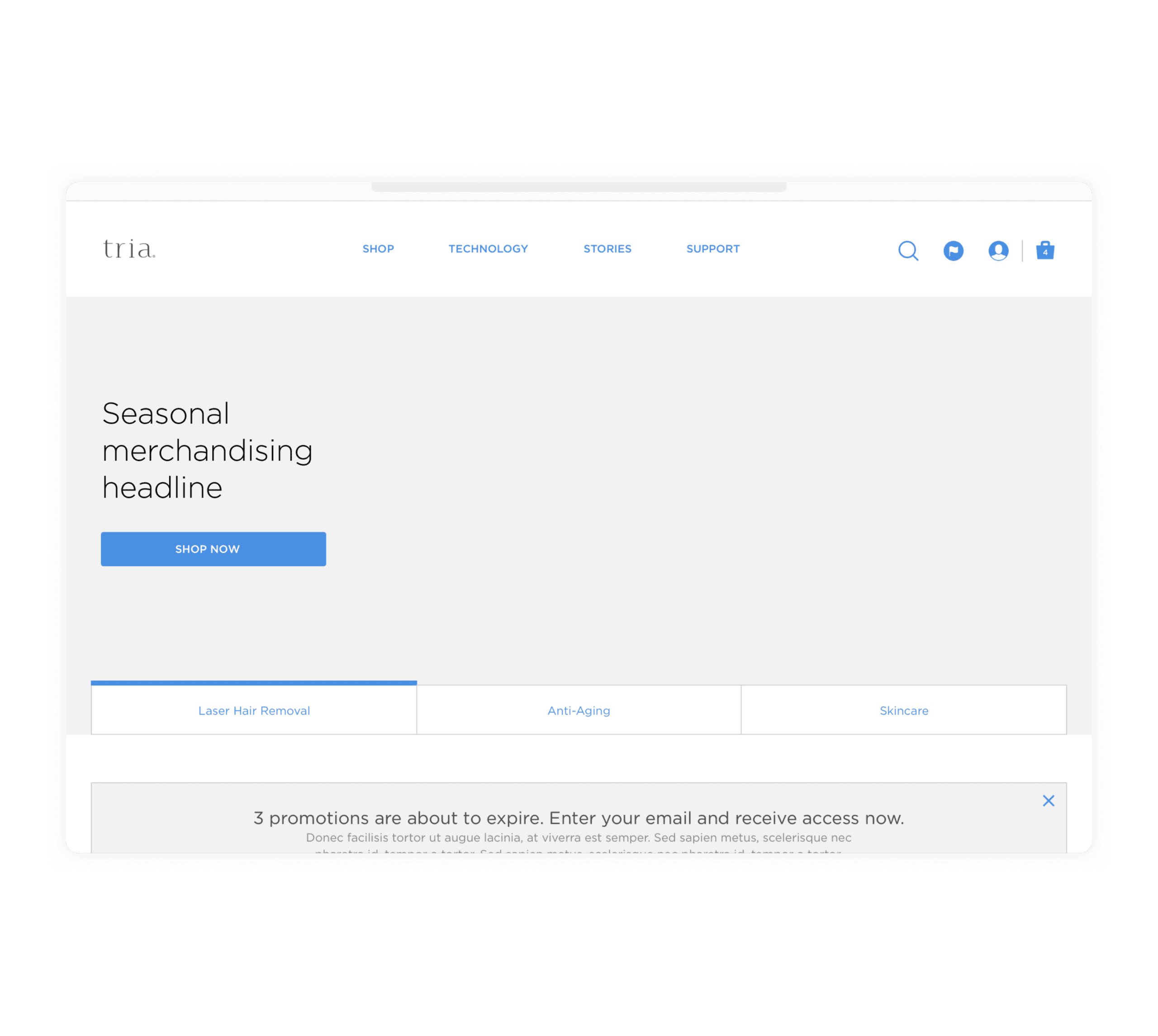Trim Beauty Wireframe