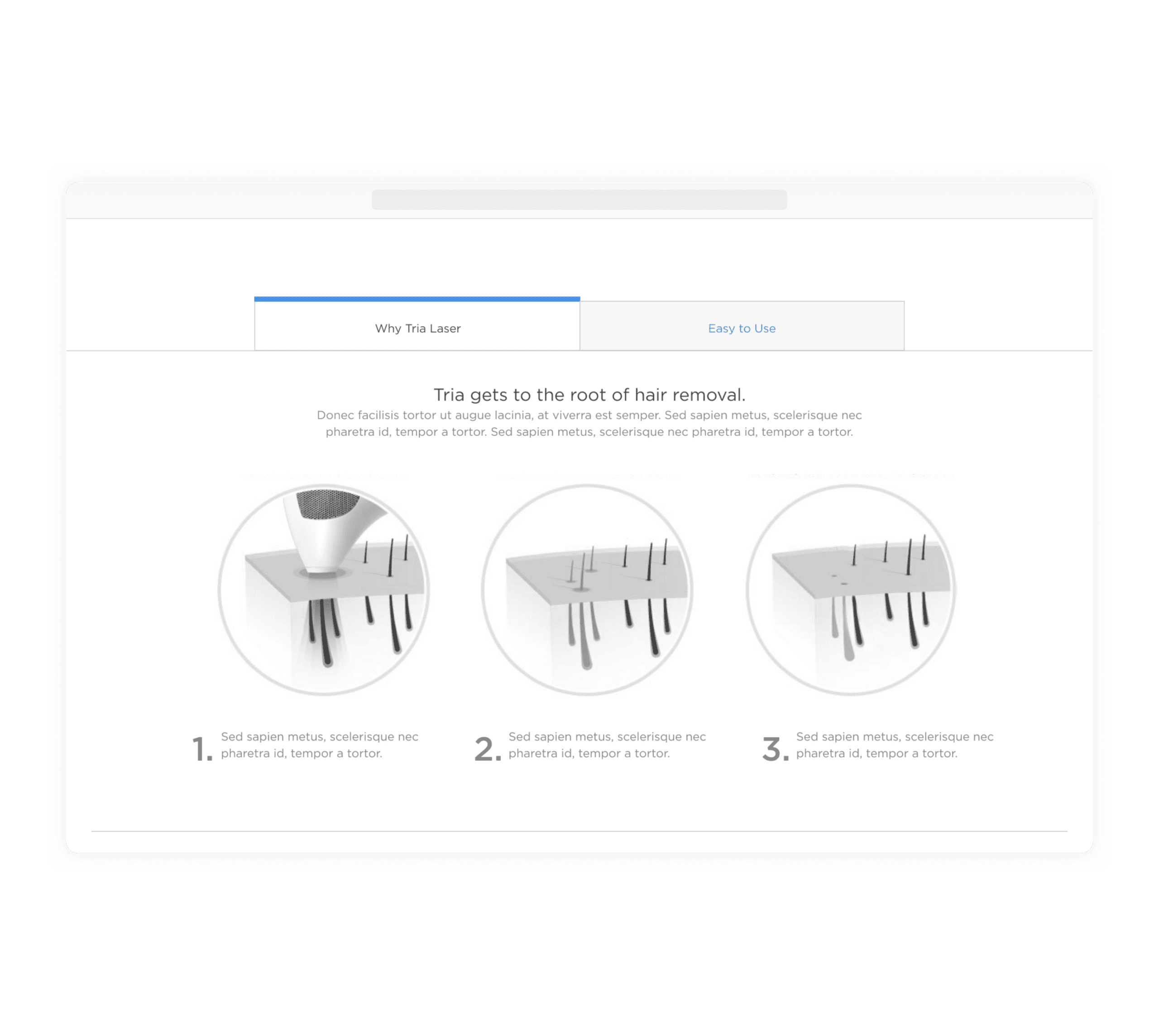 Trim Beauty Wireframe